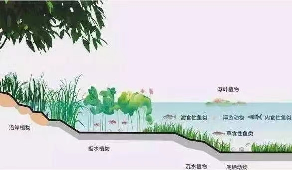 河道治理与水生态修复的措施都有哪些