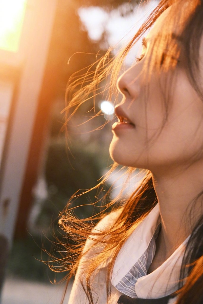 白鹿高清壁纸头像(四十四)[亲吻]