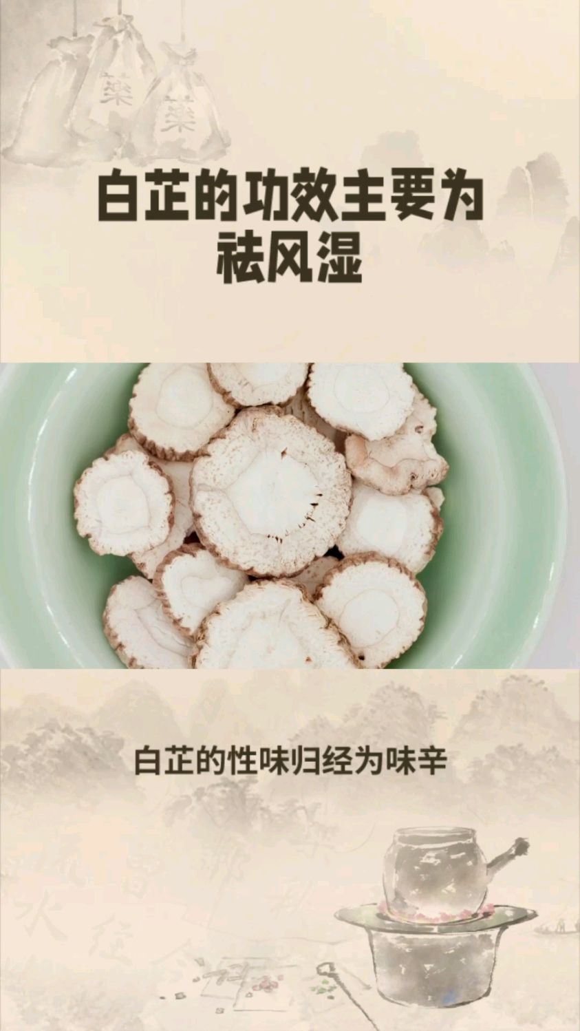 白芷性味归经图片