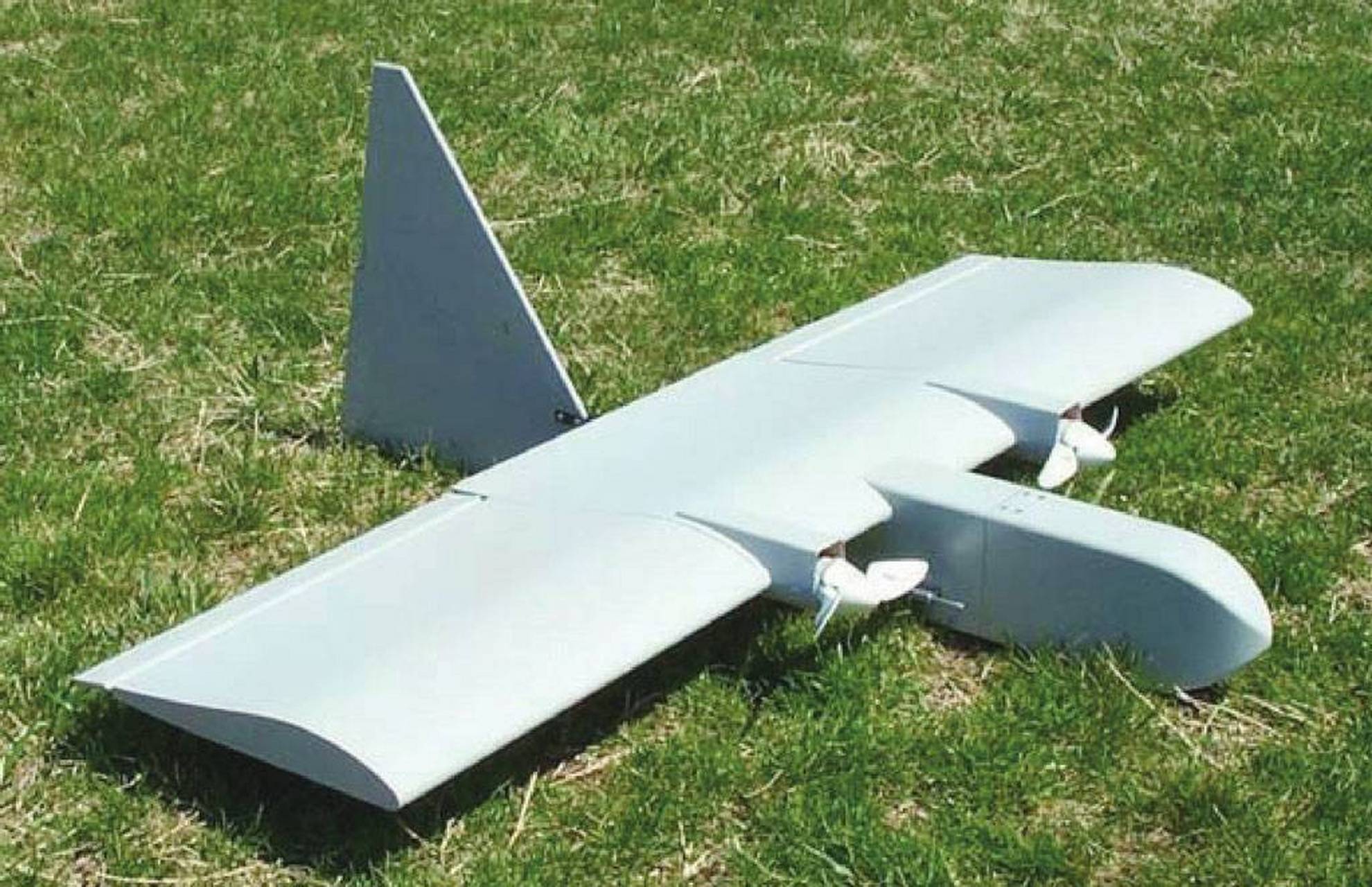 美国rq-14"龙眼"无人机 rq-14"龙眼"无人机和rq-11"大乌鸦"一样,都是