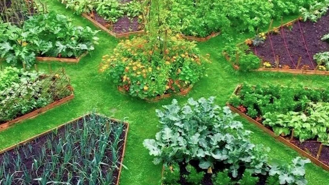 花园和菜园可以共存吗?请看案例