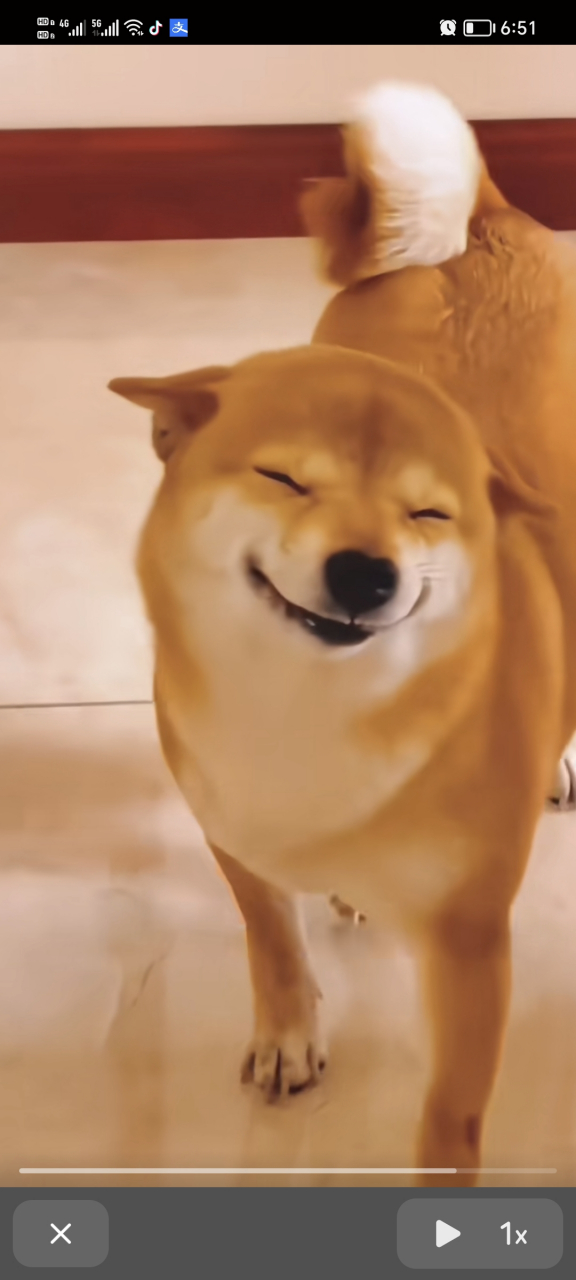 [嘻嘻]嘴角上扬,真的好开心[捂脸]不由自主的跟它一样开心得笑起来.