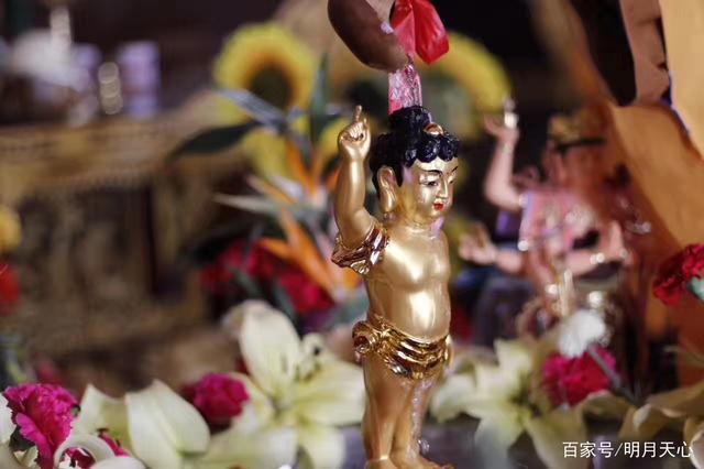 农历四月初八,恭迎"释迦牟尼佛"圣诞,祈愿大众吉祥!