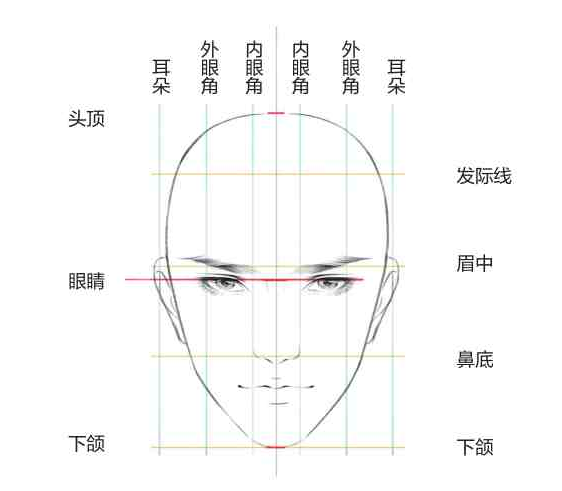 漫畫臉型畫法,其實比想象中的簡單!