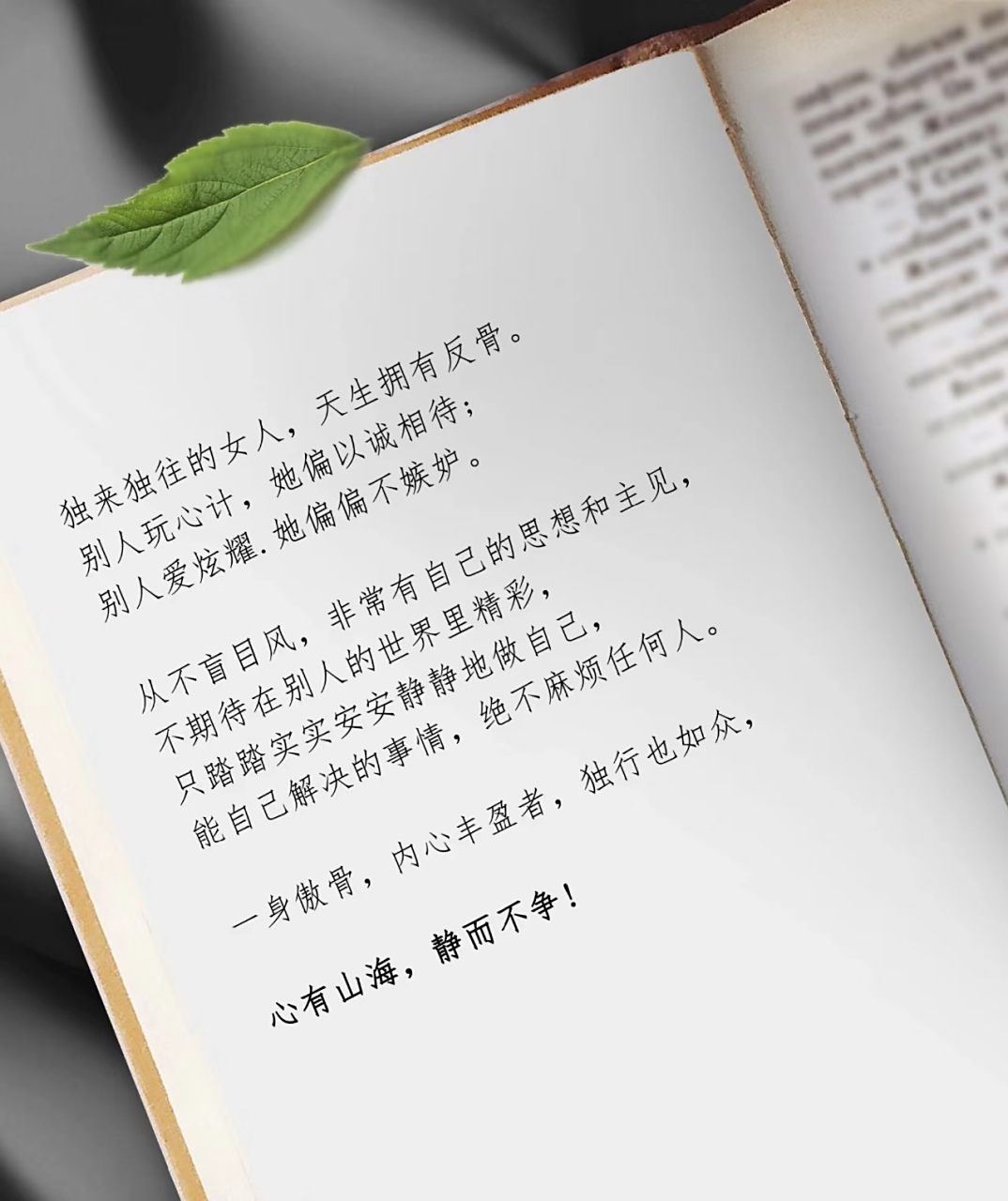 心有山海 静而不争