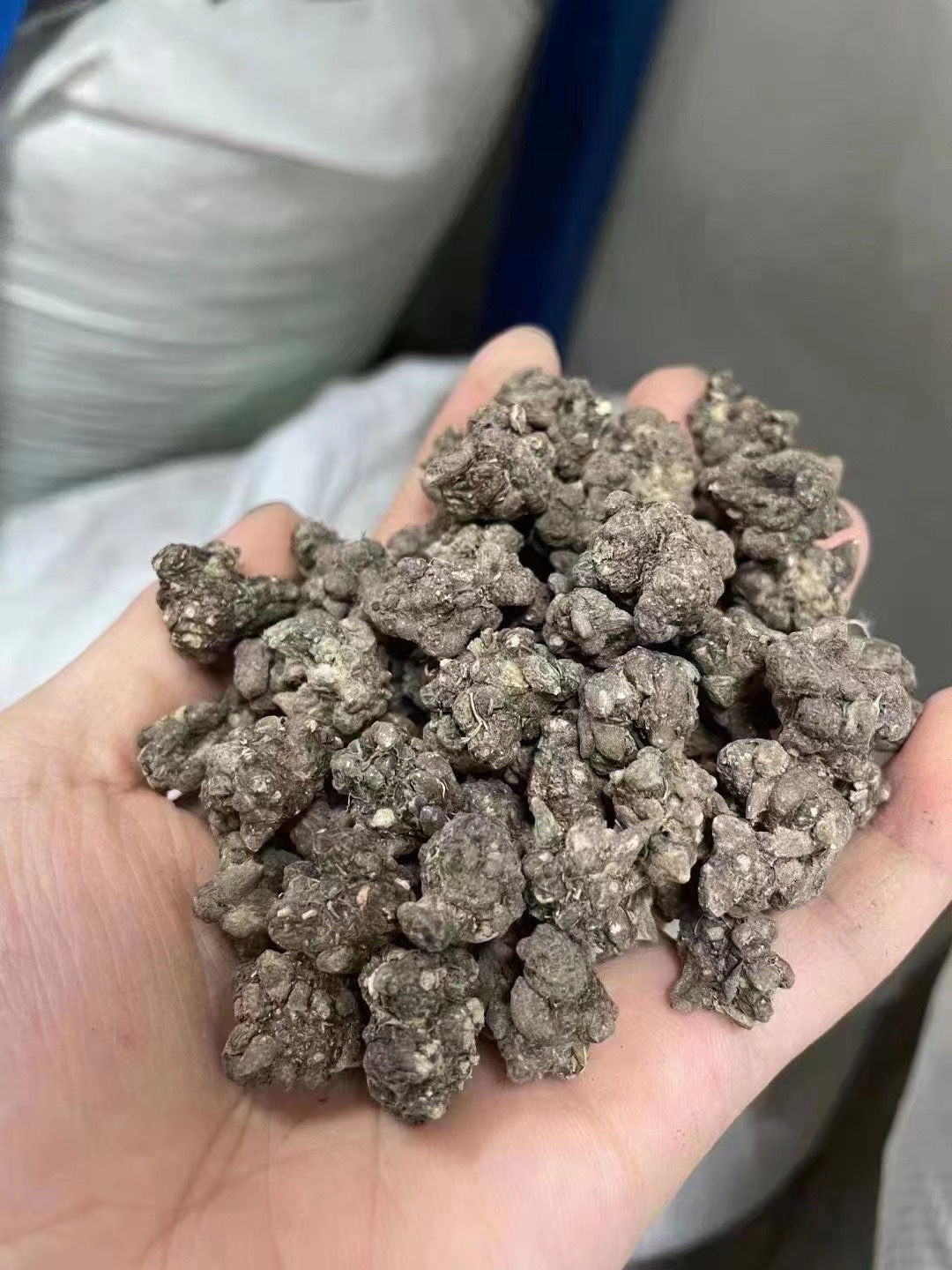 猫爪草有清热解毒消肿散结的功效