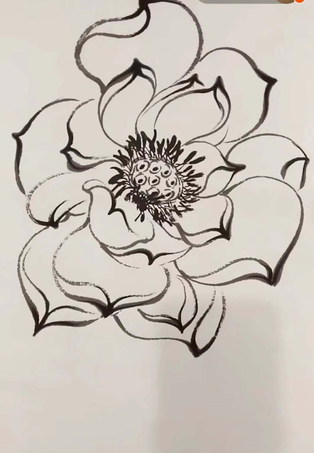 如何画好一朵莲花