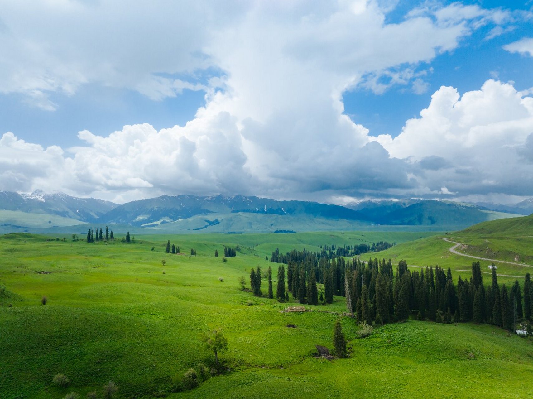 春天,孟克特草原如同大地的新生.