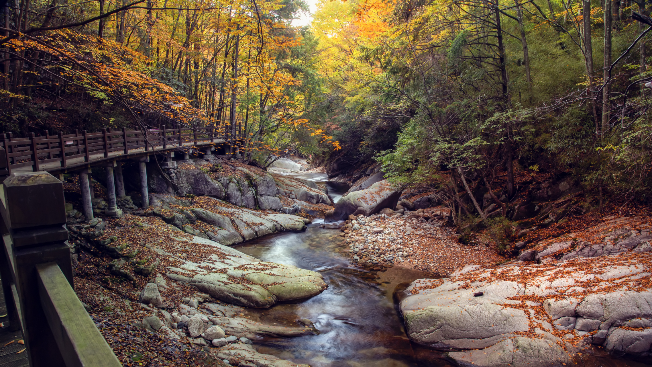 徜徉于巴中光雾山  94位于四川省巴中市南江县北部的光雾山旅游区