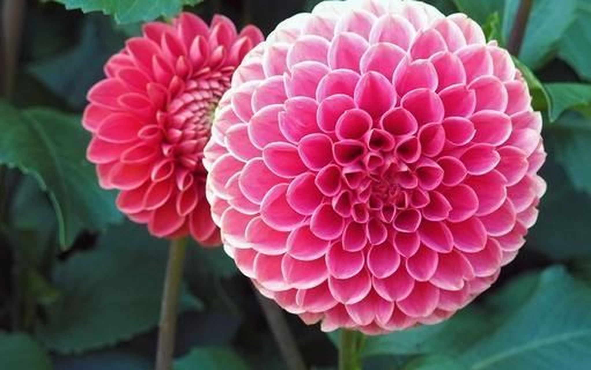 因为观点不同,我们不同,正因为观点不同,我们在一起才有意义,容纳不同