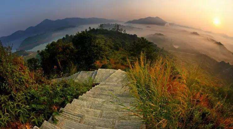 云浮大王山森林公园