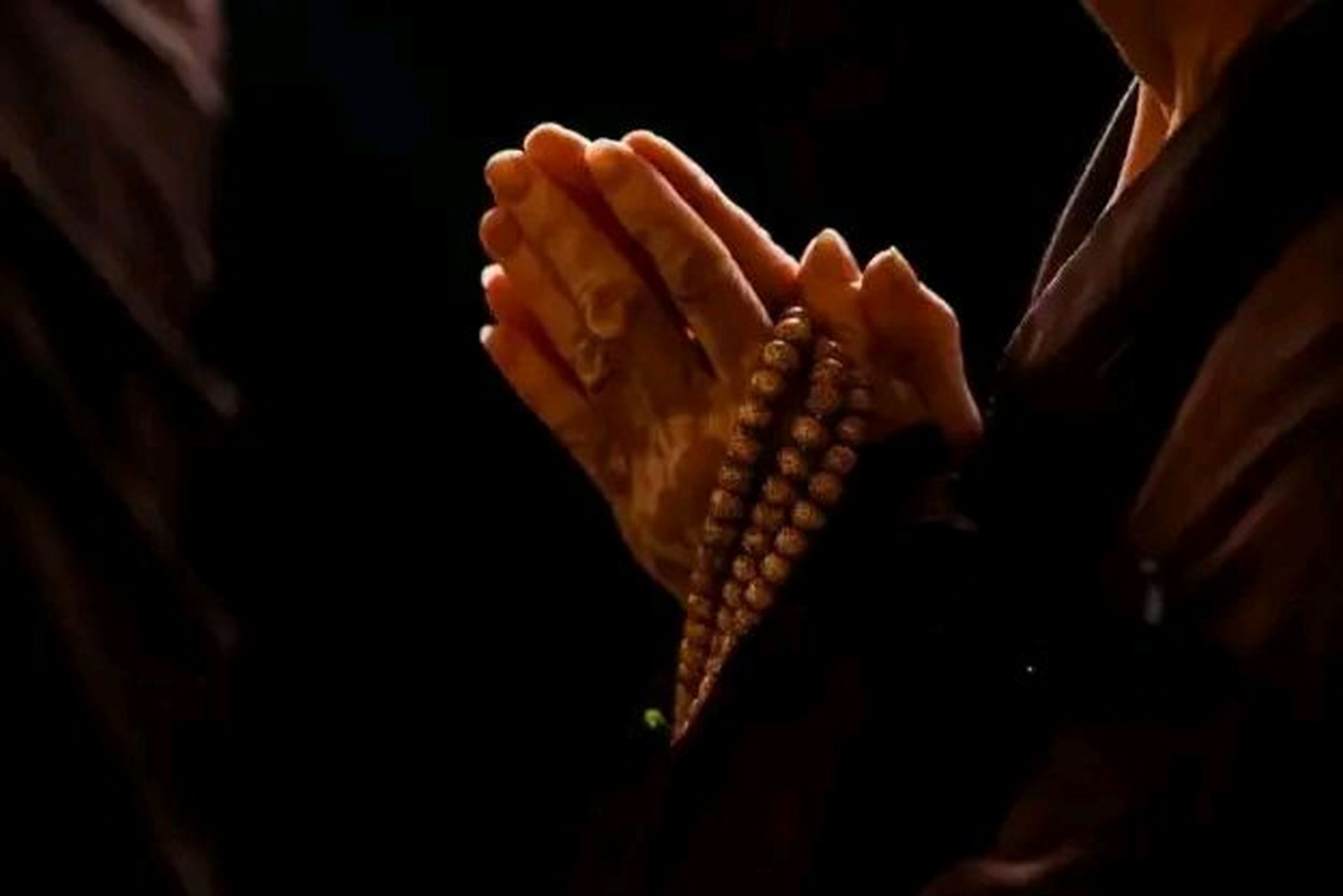 "这只狗狗看破红尘,竟然出家当了和尚,每天跟着方丈吃斋念佛,引来了