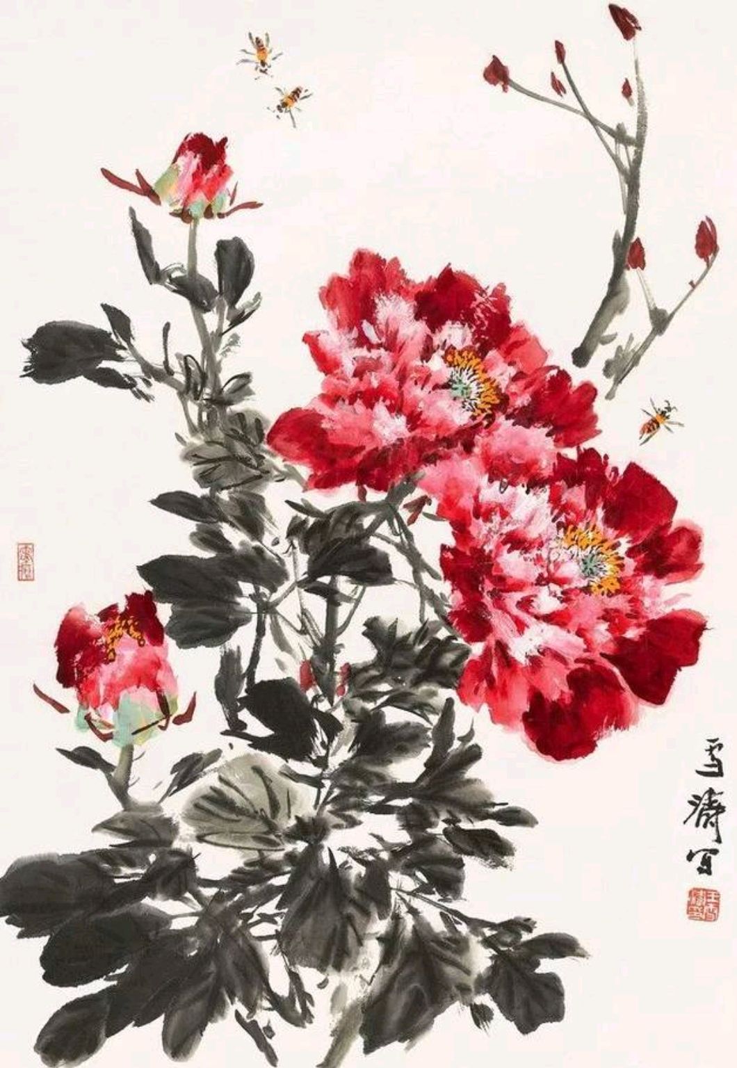 c04,越来越喜欢牡丹花了,一起学习王雪涛牡丹作品
