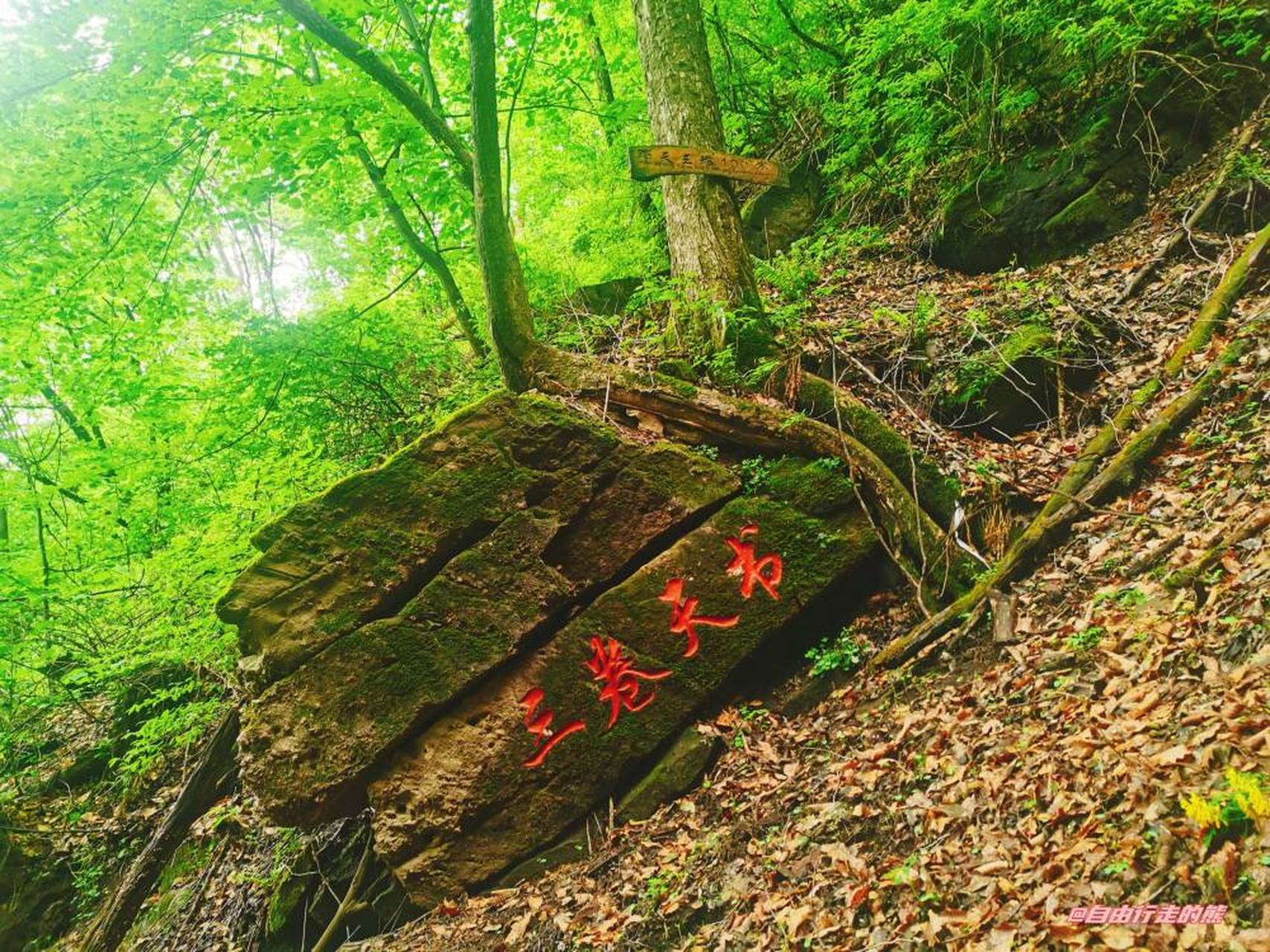 吉林省鸡冠山森林公园图片