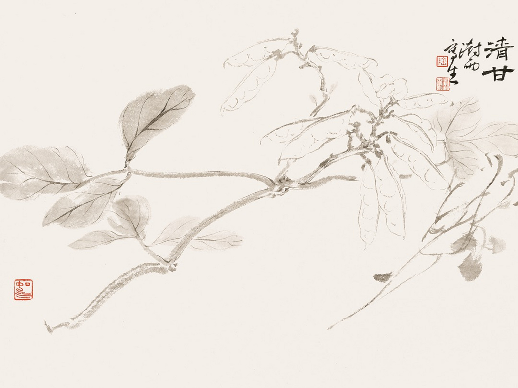 澍雨日历丨5月19日 · 清甘  世以画蔬果花草,随手点簇者,谓之写意,细