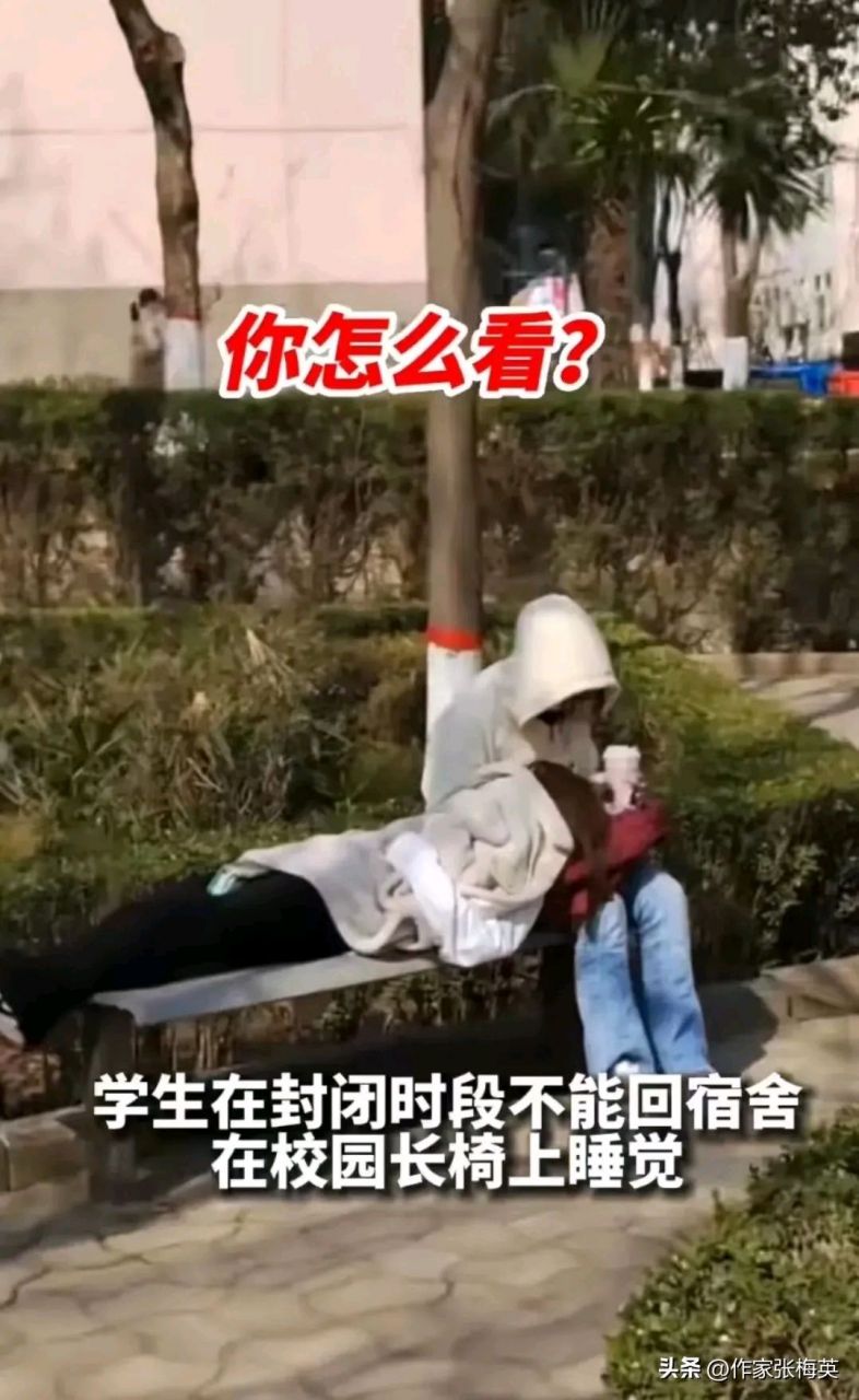 据悉,该校每周一至周五上午7点半至11点半,为早封闭时段;周日至下周四