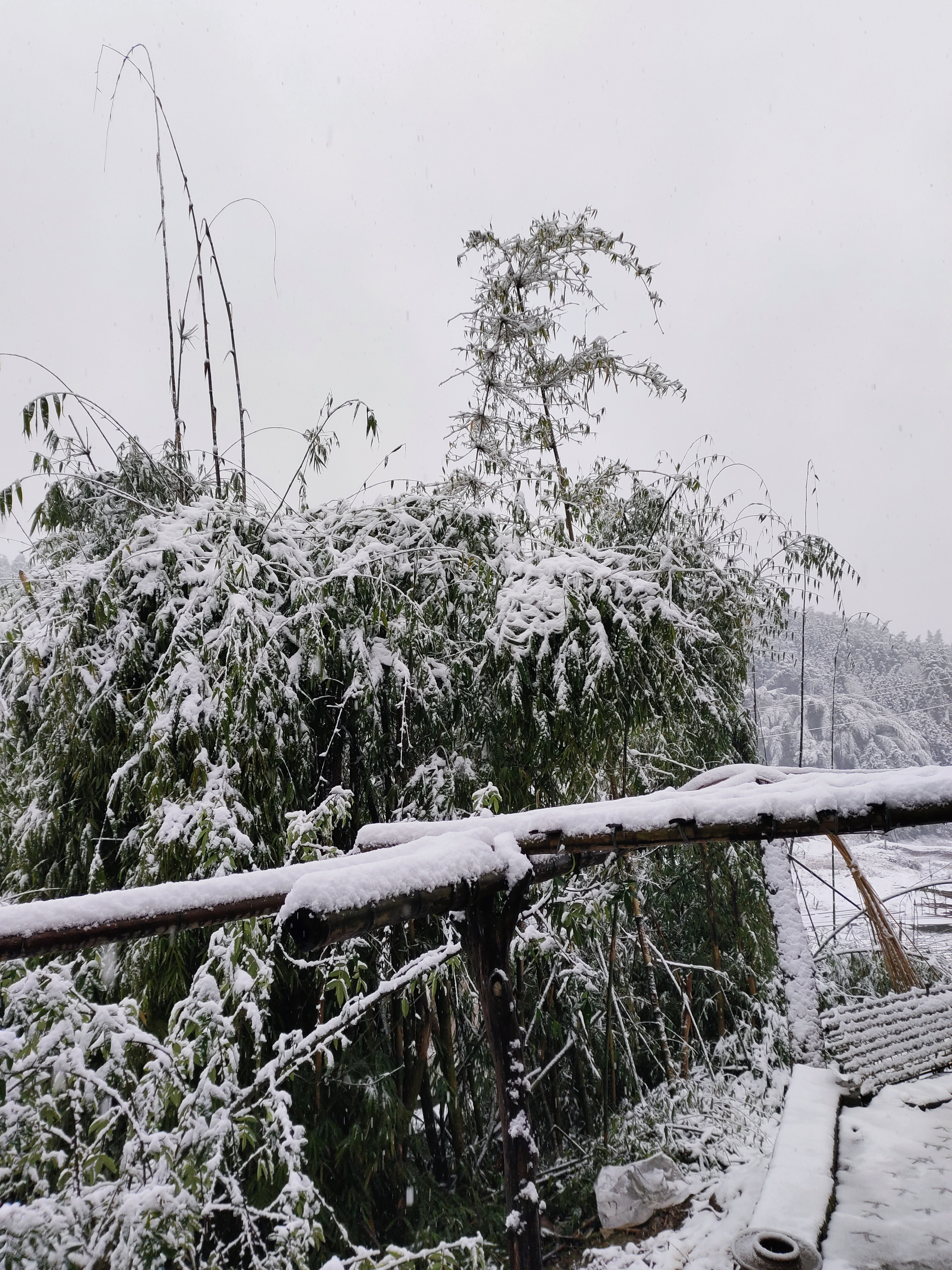 清远大雪图片