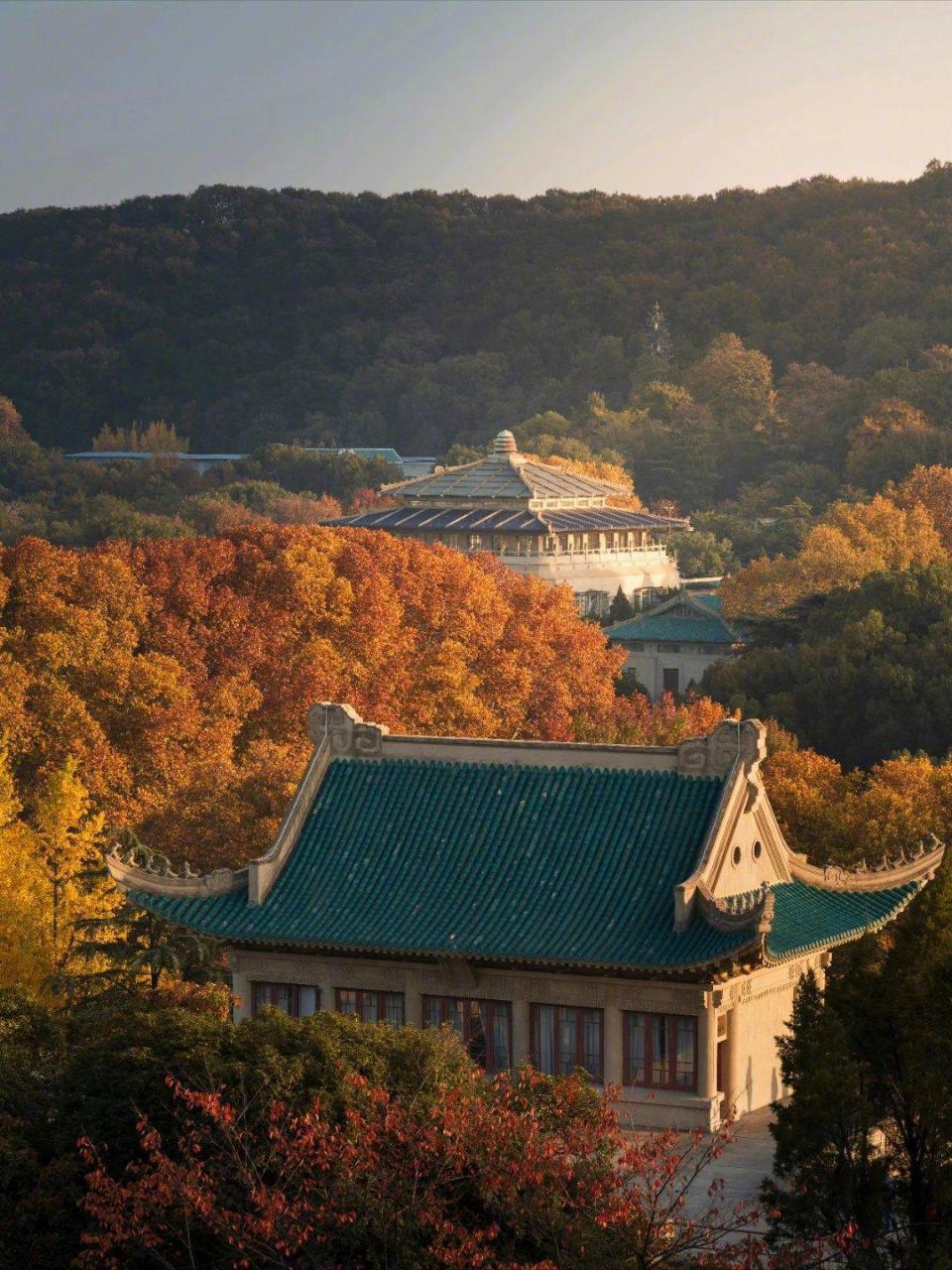 分享一张雷军分享的,其母校武汉大学珞珈山秋景照片.