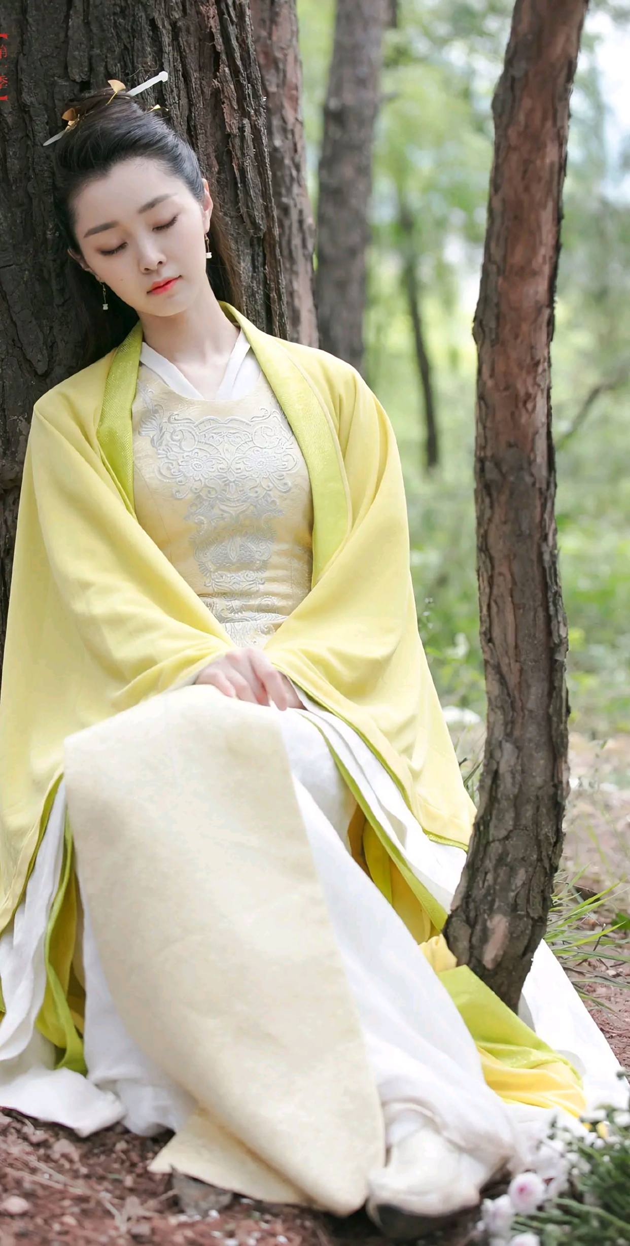 宋轶古装旗袍秀,风情万种