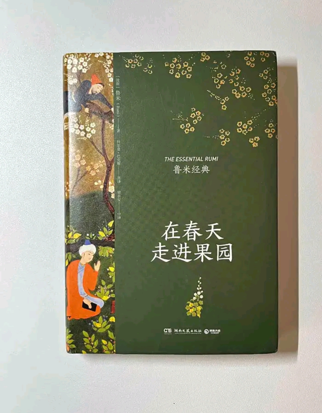 3月书单|献给心灵中的恻隐和身体内的光