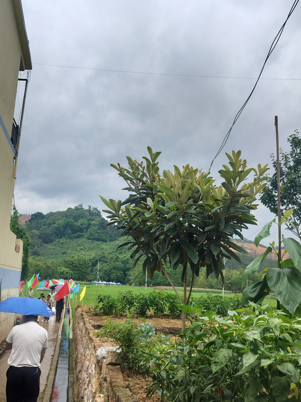 1,张新成和周雨彤的《大宋少年志2》预计8月播出.