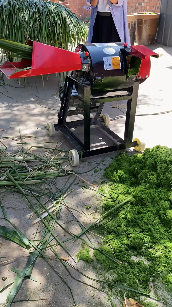 家用小型牧草打浆机,可满足养猪的用户,将粉碎后的青草制作成水溶饲料