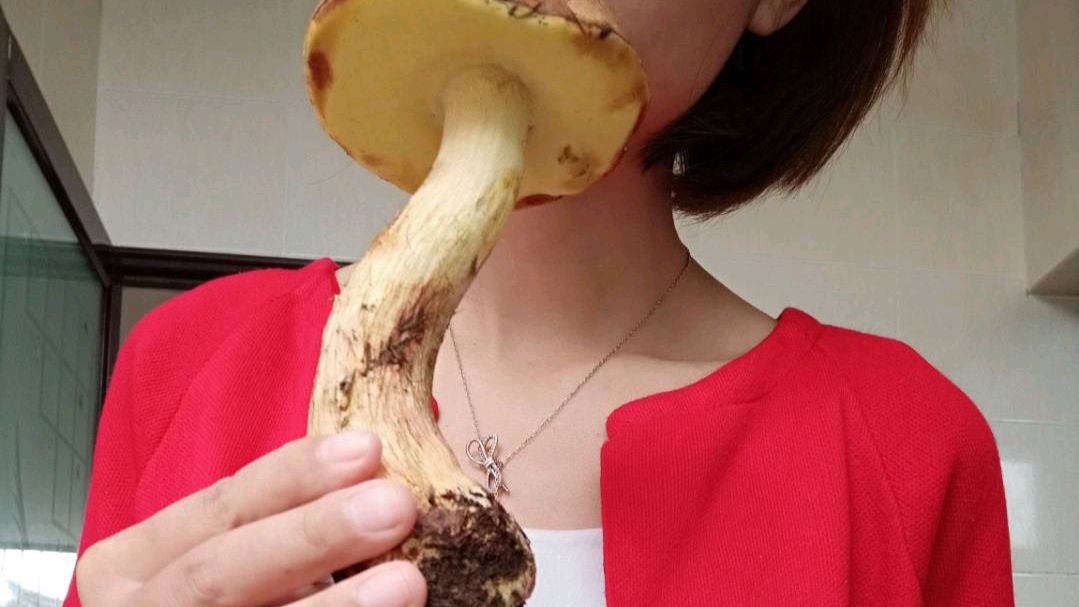 云南野生菌我的家常做法安全美味看不到小人人