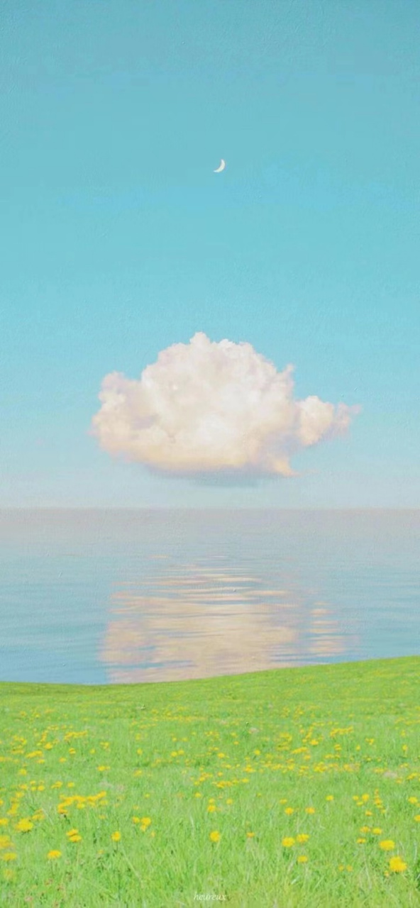 草鸡蛋和洋鸡蛋的营养成分都是一样的,但是洋鸡蛋多了一种成分叫做"