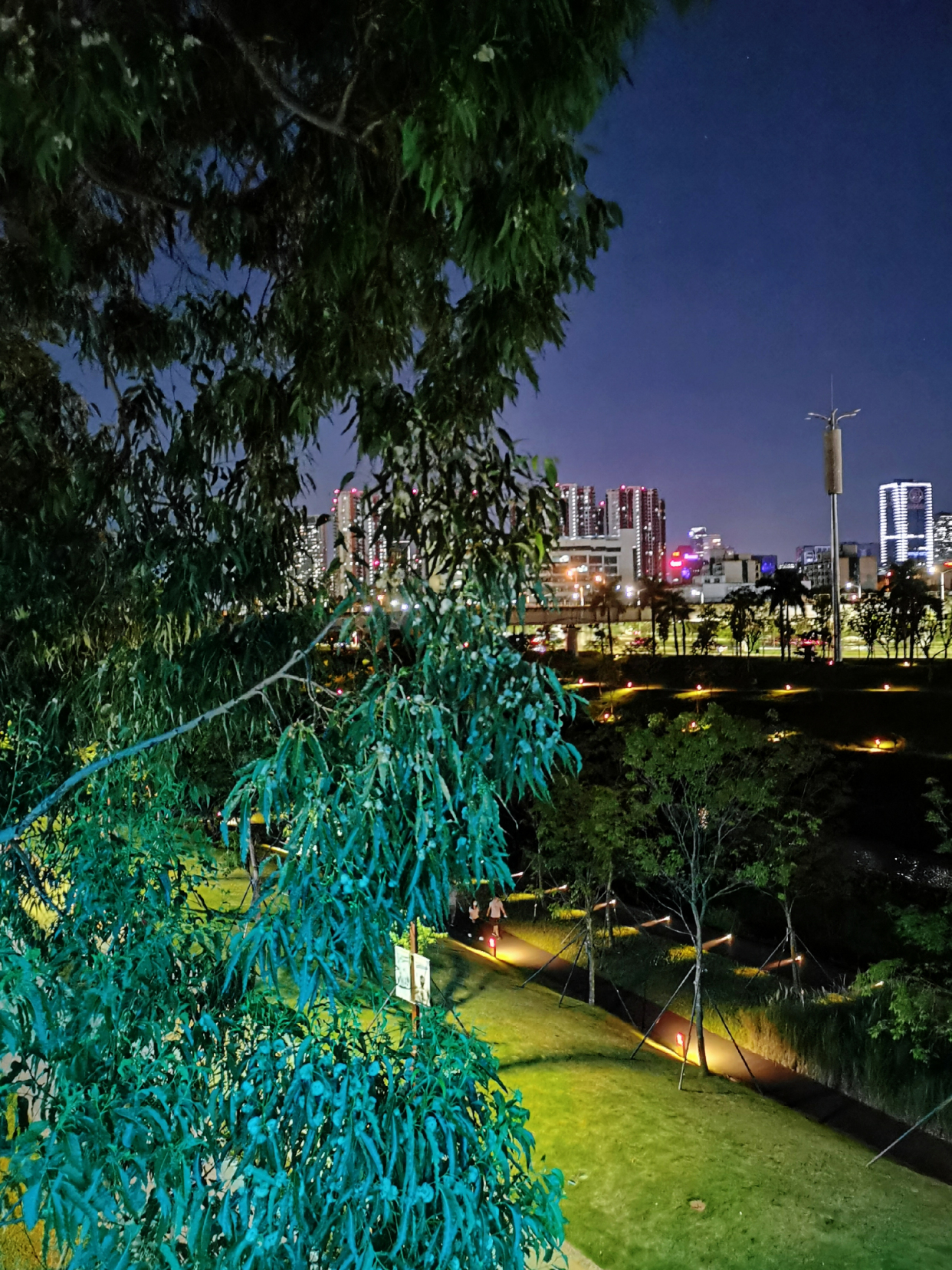大沙河公园夜景