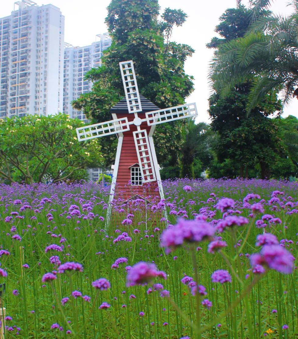 南宁市花卉公园在哪里图片