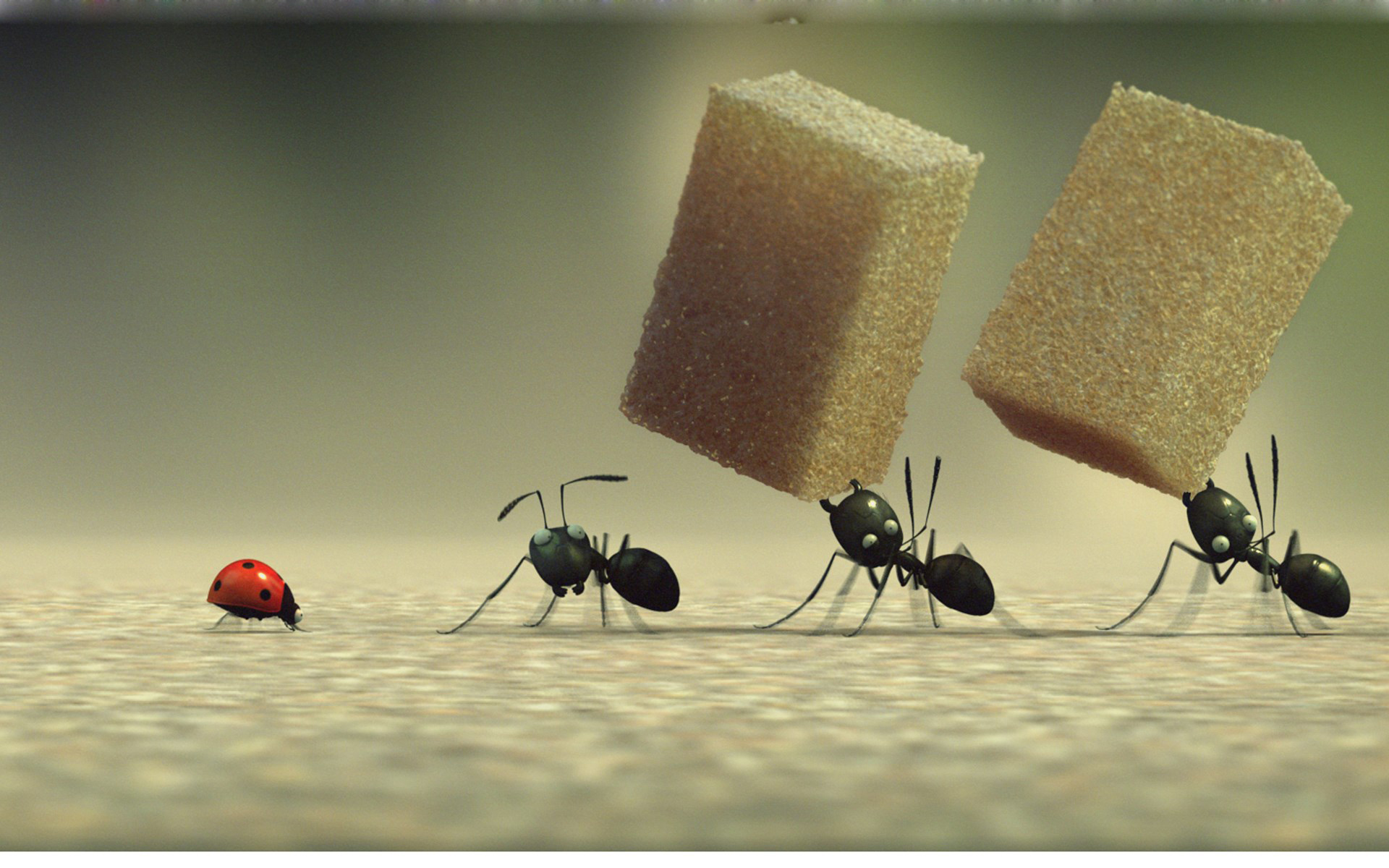 一只力气大的蚂蚁