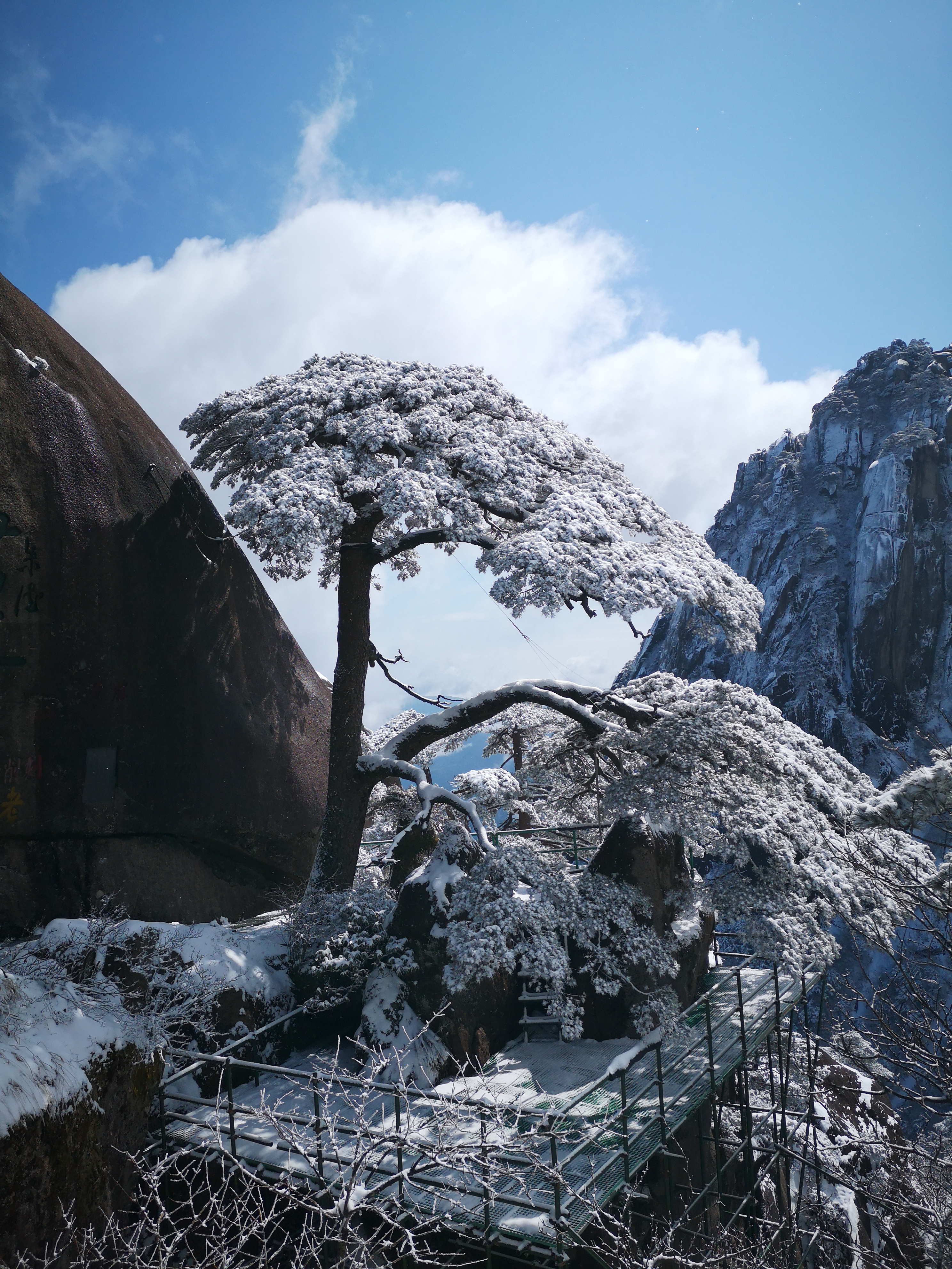 黄山看雪,塘栖吃肉