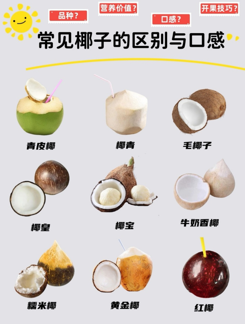 常见椰子区别:口感及营养价值 附开椰教程 椰子的品种繁多,产地分布也