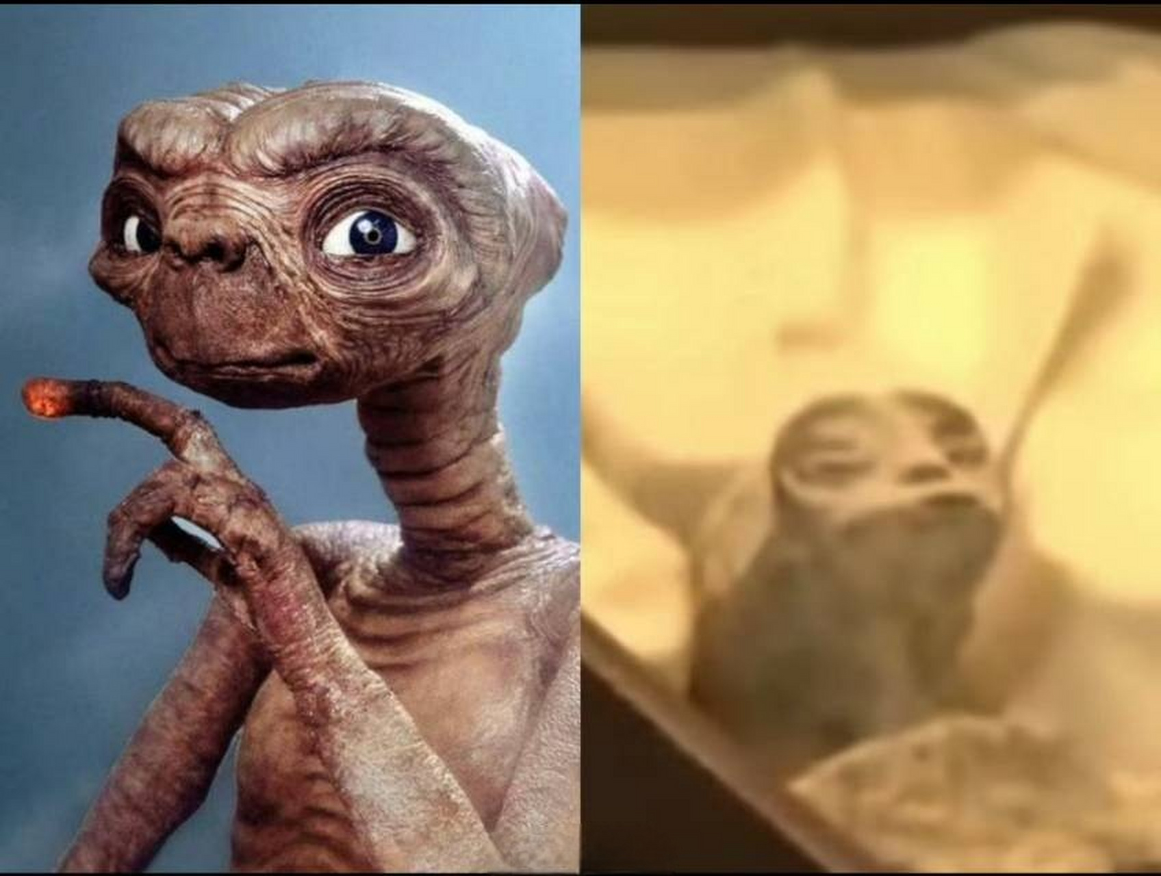 真的有外星人存在吗# #墨西哥国会展出两具外星人尸体# #九月动态