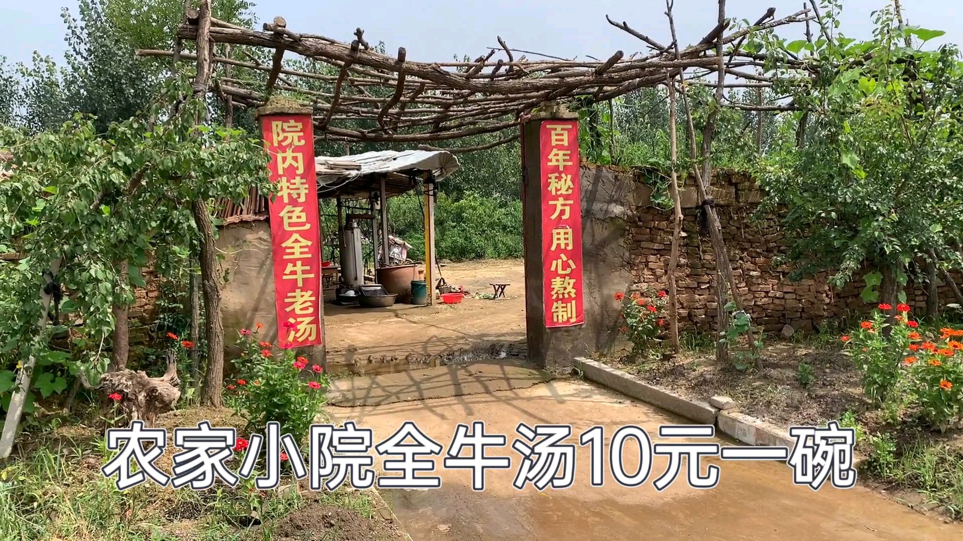农家小院全牛汤,10元一碗,石头墙树枝凉亭,很有味道的牛肉汤