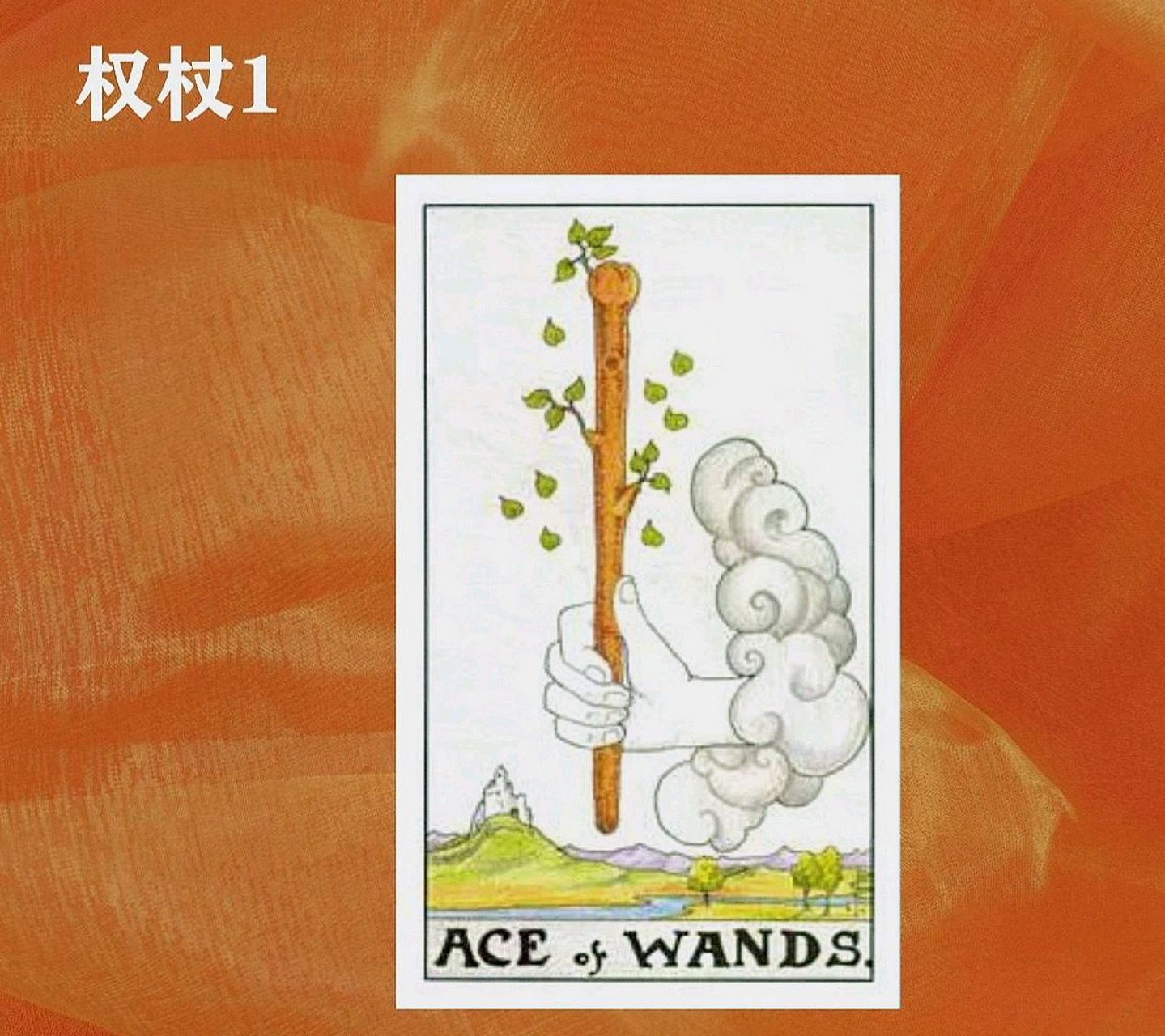 塔罗教学#  教你一个塔罗知识:权杖ace,从图案分解牌  教你一个塔罗