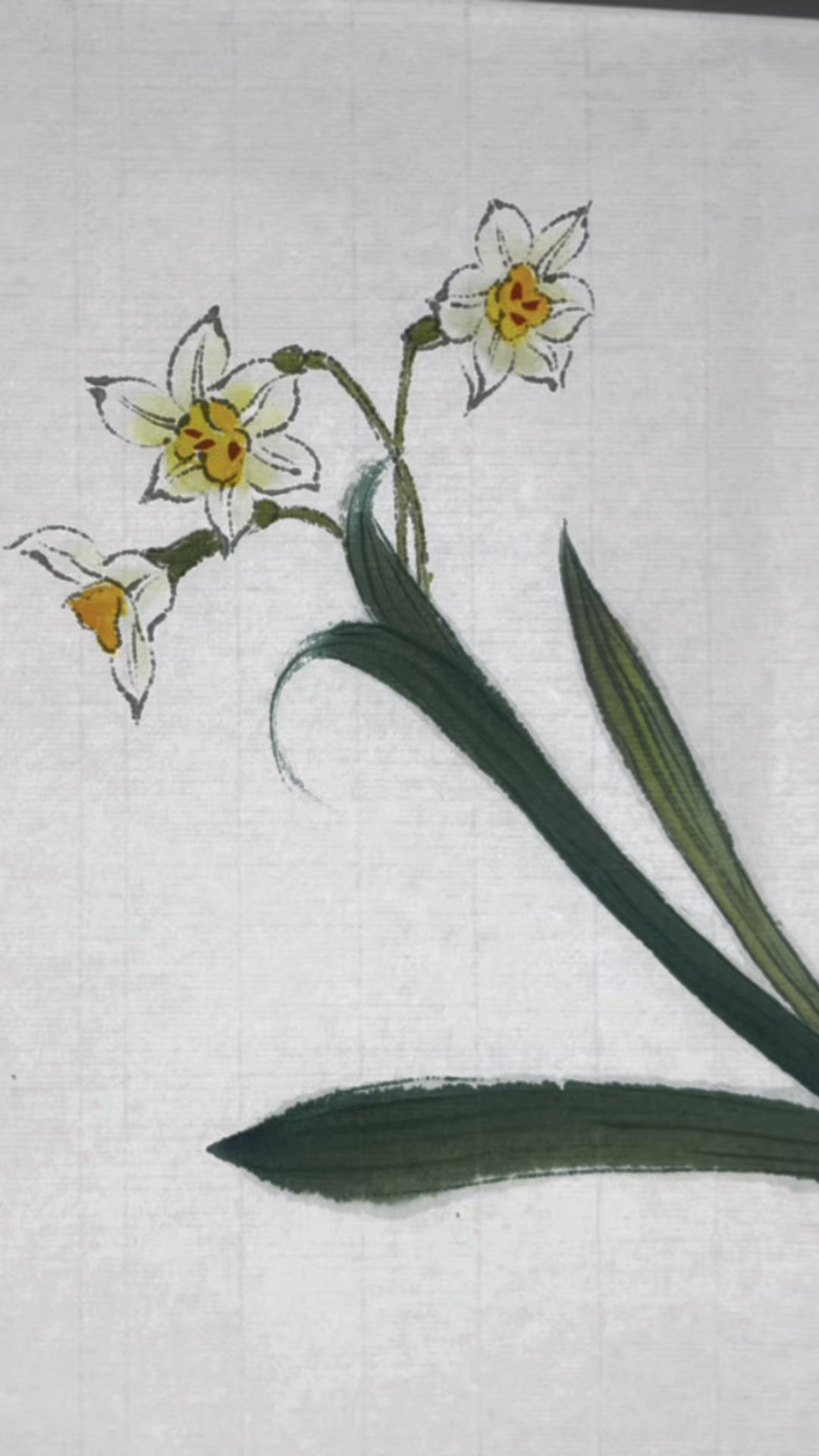 小写意水仙花的画法