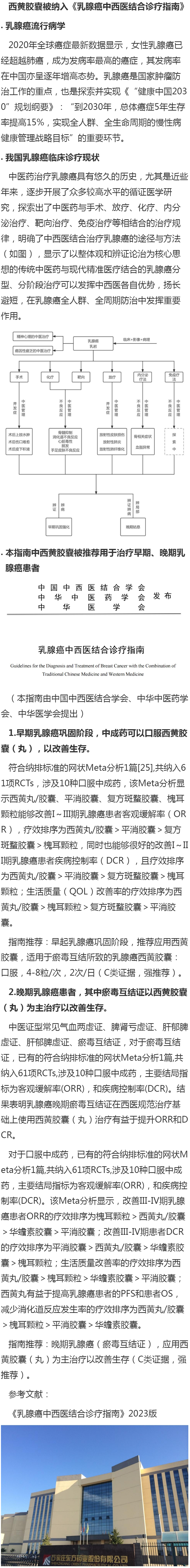 西黃膠囊被納入《乳腺癌中西醫結合診療指南》