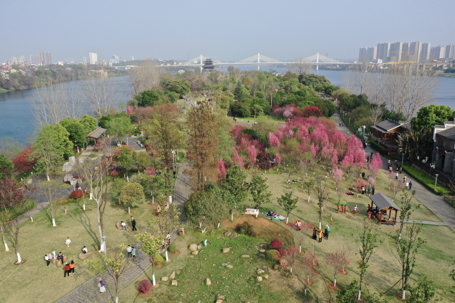 衡阳东洲岛桃花图片