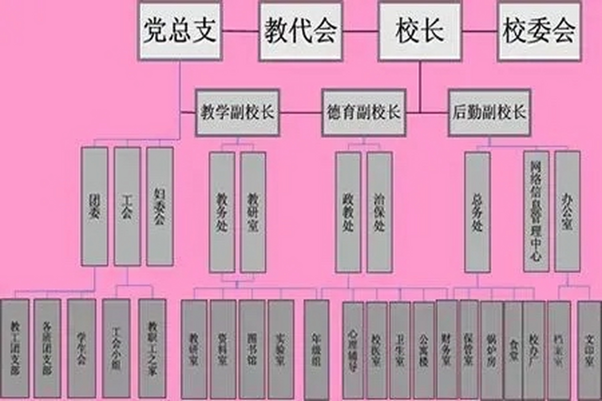 党委领导下的校长负责制 党委领导下的校长负责制已经在中小学全面铺