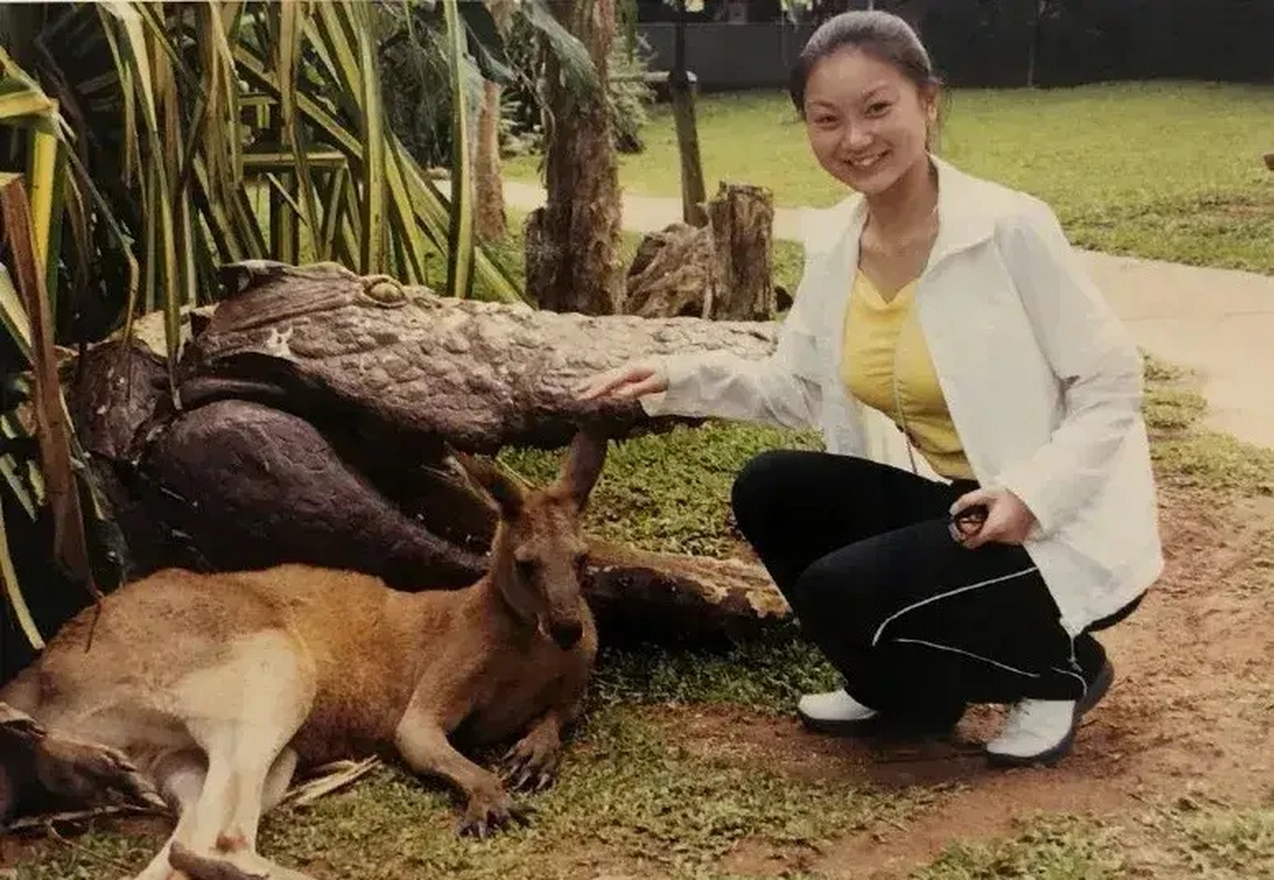 张艺谋妻子陈婷资料图片