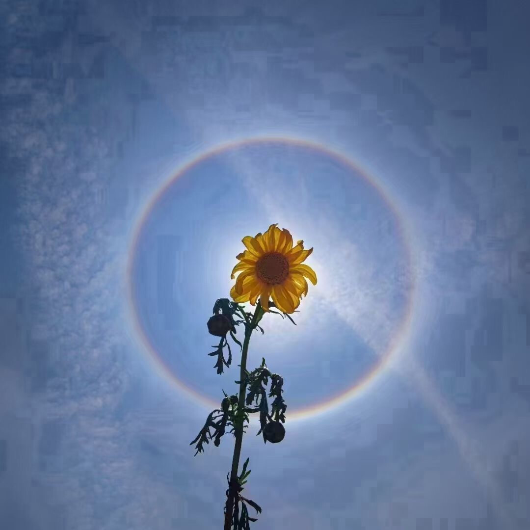而付出的艰辛与努力, 能让人记住看到的只是你头上那迷人的光环效应