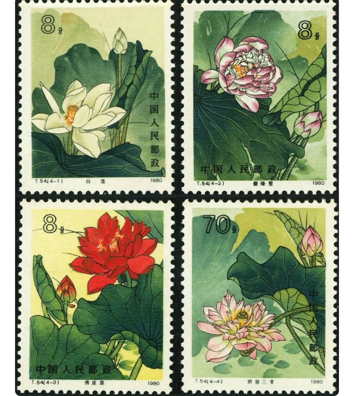 1980年8月4日发行的t53《荷花》特种邮票,由陈晓聪设计,一套4枚,图案