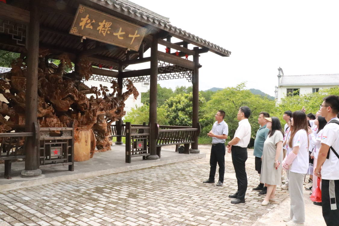 红色华屋万古长青的十七棵松发展成就观察团探访华屋村