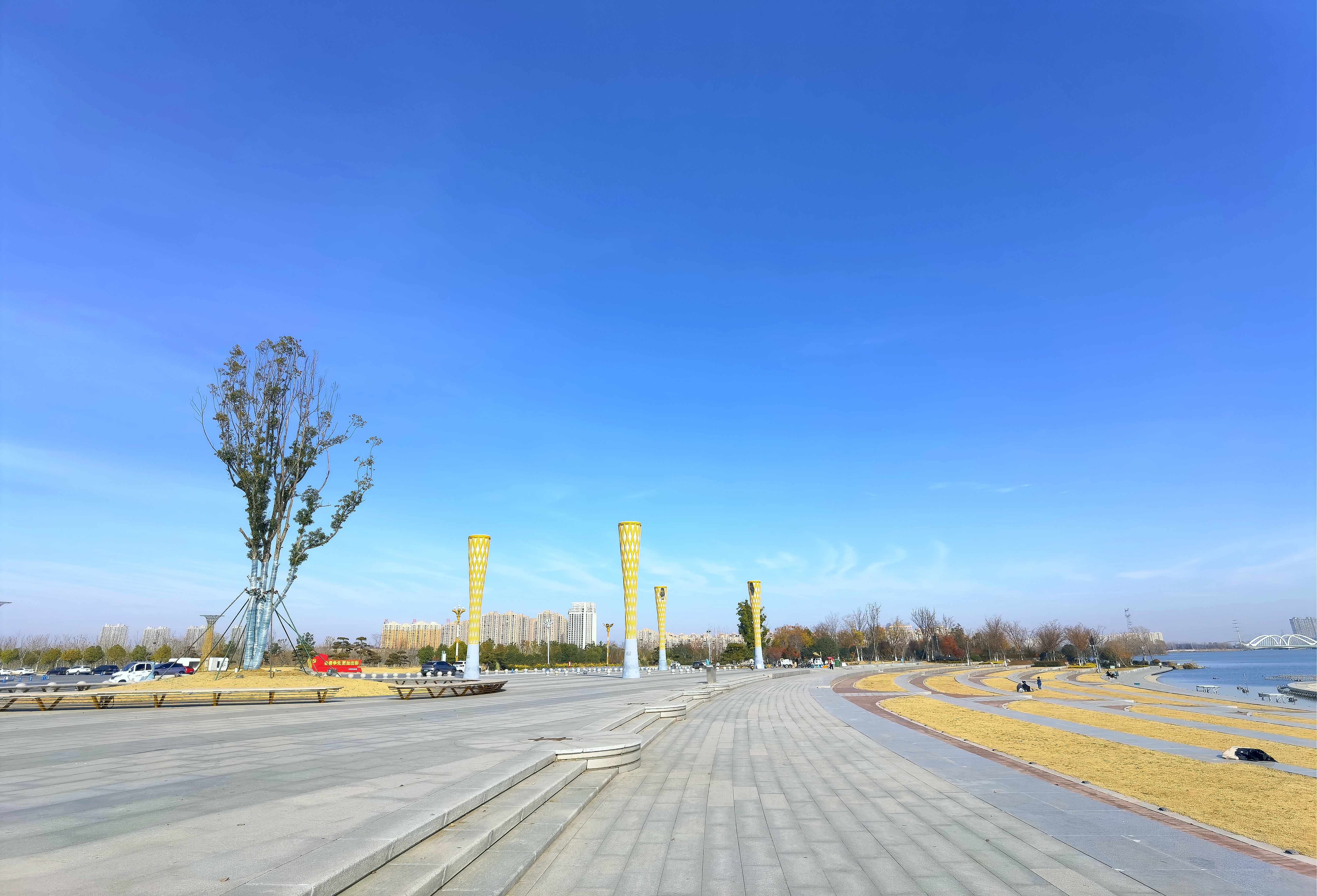 昨天大雪,没有雪,反倒是阳光明媚,风和日丽