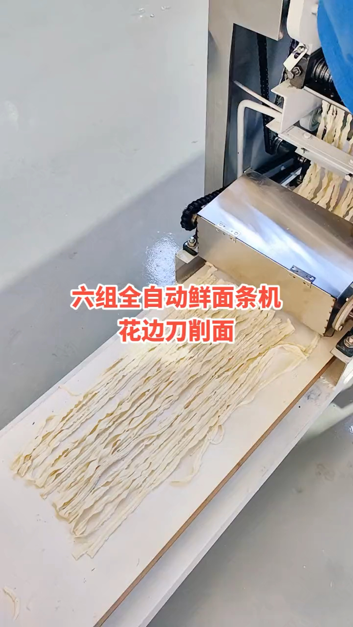 六组全自动鲜面条机 花边刀削面机 商用压面机