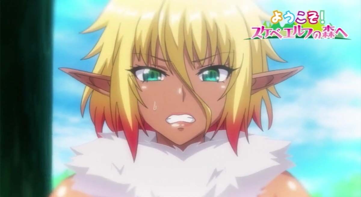 OVA ようこそ！ スケベエルフの森へ 1-4 熟 动画 第5张