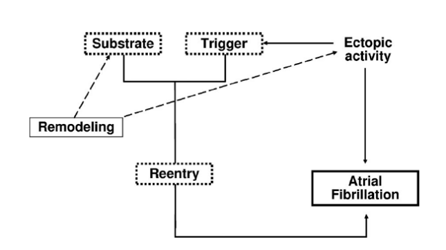 Dr.Ephys @房颤：那些年心动的感觉