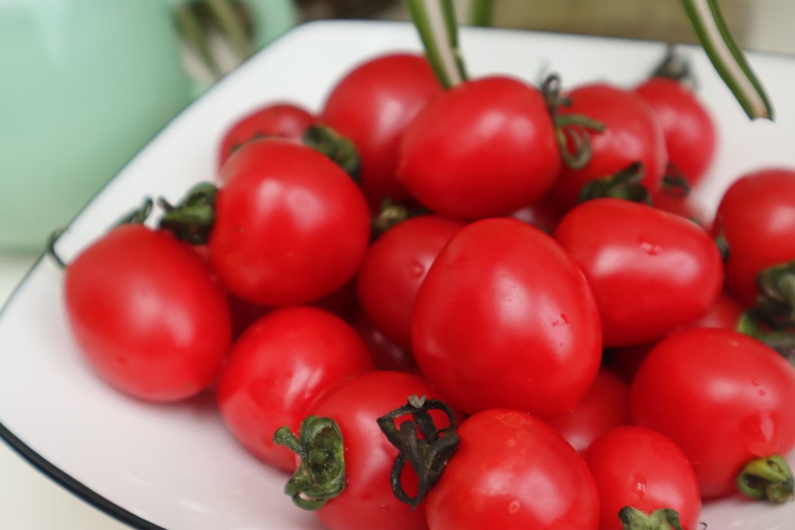 海南陵水圣女果这么好吃,海南市场上很少有