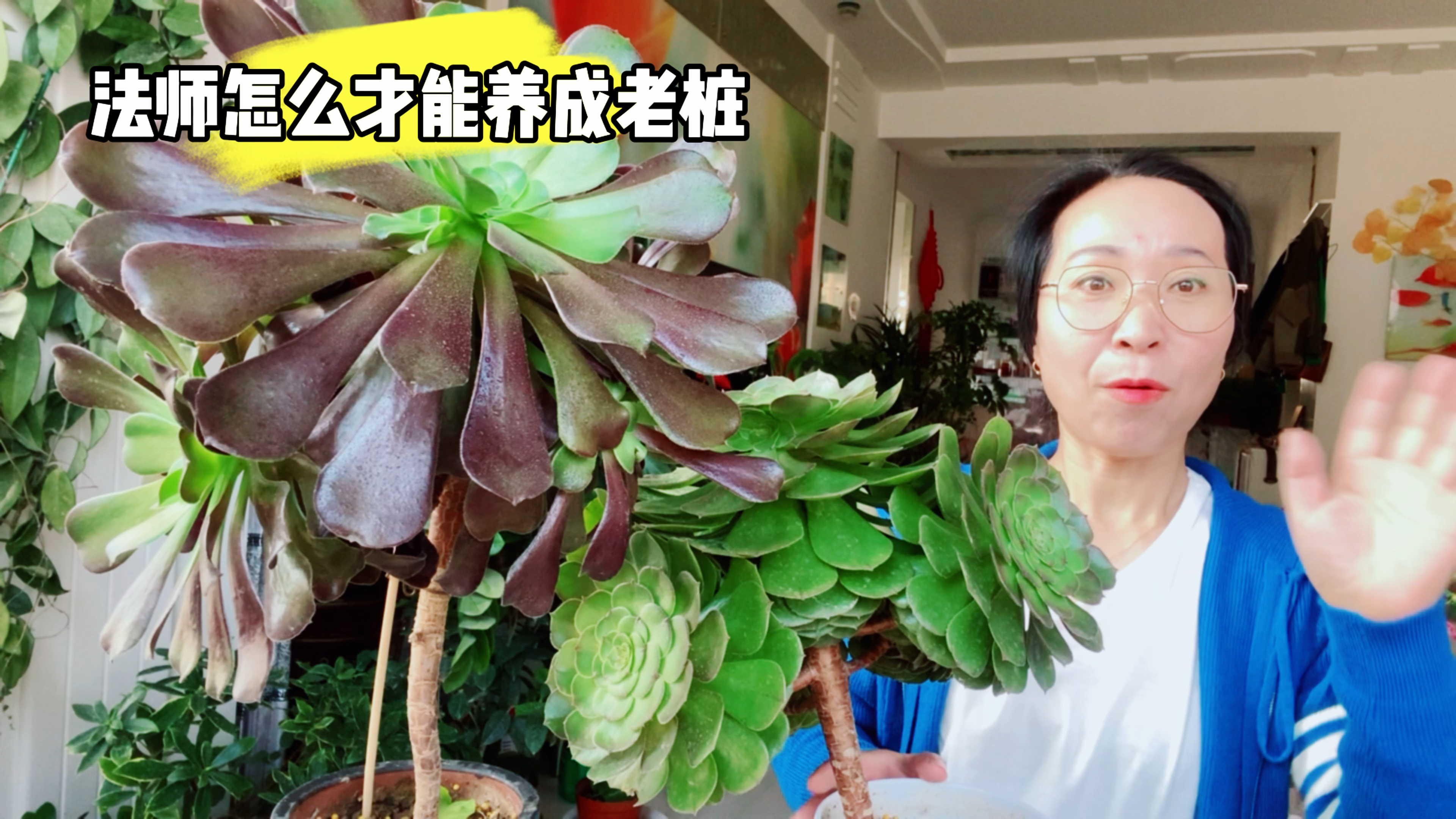 法师这样养,快速变老桩,爆头多!